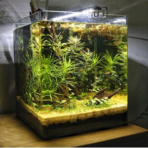 Нано аквариум, кубик ( комплект)