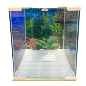 Нано аквариум Aquas 10 литров
