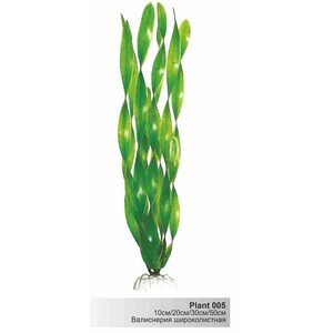 Пластиковое растение Plant 005-Валиснерия широколистная,  