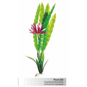 Пластиковое растение Plant 029-Апоногетон курчавый ЗЕЛЕНЫЙ с цветком,